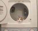 購入後ます 深く相手の気持ちを知れるタロット占い イメージ8