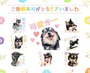 スマホ写真ＯＫ♪フォトLINEスタンプ作成します フォルダに眠っているお写真を変身！プレゼントにもオススメです イメージ6