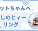 ペットへの遠隔ヒーリングをします 貴女の大切なペットヒーリングのサービスです♪ イメージ6
