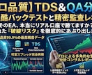 FXトレード用EAの監査・バックテストします TDS＆QA分析！バックテスト結果から精密監査レポート作成 イメージ1