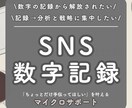 SNSの数字を記録します 「記録だけ」してほしい、シンプルな作業を手放したい方へ イメージ1