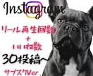 インスタ✨リール＆いいね✨30投稿拡散します “投稿するたび伸びる”を実現する月額プラン イメージ1