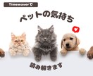 ペットの気持ちを読み解きます 言葉にできない“うちの子”の声、受け取ってみませんか？ イメージ1