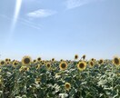 どんなお悩みも一緒に考えます 年齢問わず！私と話してみませんか？ イメージ1