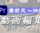 動画・音声制作、承ります 低価格・高品質動画をご提供します！ イメージ1