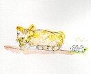 ねことかえるの似顔イラスト　描きます いきものたちのエネルギーを表現します イメージ3