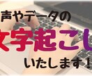 動画や音声、画像などからデータ起こします データ化する時間がない！パソコン入力が苦手な方に！！ イメージ1