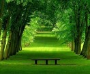 あなたの写真を見て魂の色が何色かをお伝えします 色のみのお伝え☆生まれながらの魂の色を身に着けて運気アップ イメージ9