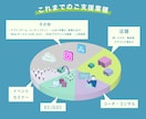 割引中！Facebook広告の自走運用を支援ます 運用手数料20%は払いすぎ！外注に依存しない運用を徹底支援 イメージ5