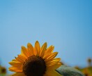 インスタ映えする写真の加工致します 何気なく撮った写真でインスタ映えさせませんか？ イメージ5