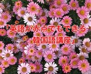 英語が赤点でもできる！韓国語が話せるようになります 英語赤点の私が留学や一人旅できるようになった易しい韓国語 イメージ1