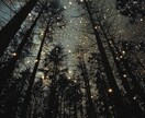 サムネや背景などの写真提供します /AIやその他ツールを使ってご希望の写真素材提供や合成も。 イメージ2
