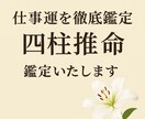仕事運を徹底鑑定｜四柱推命・算命学・易で導きます あなたの才能と時期を見極め、仕事運を多角的に導きます イメージ1