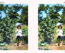 自然で優しい写真補正｜明るさ・色味を丁寧に整えます 家族写真・子ども写真の自然な補正が得意です。 イメージ3
