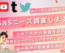コメント分析で顧客ニーズや悩みを発見し提案します SNSの悩みやニーズを収集して、最も効果的な施策が分かる？ イメージ1