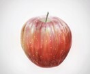 SNSのアイコンや一枚絵を描きます なんでも描きます！まずはご相談から！ イメージ8