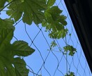 メッセージでの話し相手になります 電話じゃなくても大丈夫！気軽にどうぞ♪ イメージ1