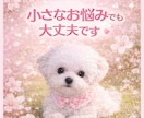 子犬の悩み相談のります 子犬の飼い方・しつけ相談、なんでもOK イメージ5