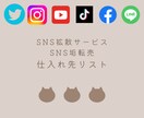 SNS拡散サービスやアカウントの仕入れ方教えます 副業として初心者でもすぐに収益があげられます！ イメージ1