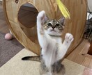 制限なし！なんでも相談乗ります 愚痴や話し相手になって欲しいなど無制限で相談に乗ります^ ^ イメージ1