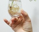 雑誌、チラシ、Web広告用の「ハンドモデル」します 健康的で艶のある手で！指輪、時計、アクセサリー等を際立てます イメージ5