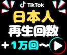 TikTok日本人からの再生数を1万回増やします 振り分け可能★オプションでいいねやセーブ増やせます イメージ1