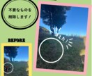 SNS用広告作成の画像編集をお手伝いします 生成AI機能で簡単な画像編集をお手伝いします！ イメージ2