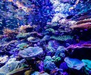 女性カメラマンが家族とのお出かけの思い出を撮ります みんなの写真がない！ってときに役立ちます！ イメージ2