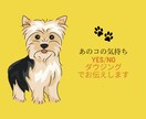 ペットの想いを ペンデュラムで魂にアクセスします 光の導き ✨星の記憶から声をお届け♡愛しいあのコからの贈り物 イメージ8