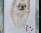 うちの子、お空ぐみの子、を可愛く描きます 可愛くフリーハンド、色鉛筆等でポストサイズからA4判サイズ イメージ6