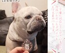 ペットの写真を可愛いロゴ風イラストにします SNSアイコンにオススメ！更にアクリルキーホルダーもお届け！ イメージ10