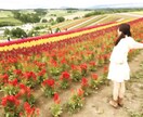 職場の人間関係のお悩みをお聴きします 自分の時間・やりたいこと・人生を大切にしたいあなたへ イメージ1