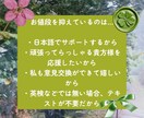 初心者歓迎！効率的な英語学習方法を共に考えます 英語の勉強法をどうぞ！何から始めるか分からない初心者の方も！ イメージ9