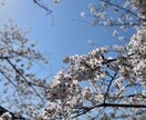 心のお悩み、何でも聴きます 愚痴や不満、寂しさや不安、聴かせてください。 イメージ1