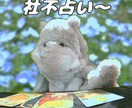 社会に馴染めない人の解決策を占います 自分が社不でお悩みではないですか？パペットが心に寄り添います イメージ1
