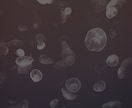 ワンコイン！雰囲気のある画像に変身させます SNSのアイコンやブログのアイキャッチ等をお探しの方に イメージ4