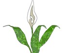 キャラクター、お花のイラスト承ります 修正無制限！可愛い女の子やお花の一枚画をご所望のお方へ是非！ イメージ4