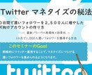 X（旧Twitter）集客&マネタイズ方法教えます たった１ヶ月でマネタイズに繋がるアカウントの具体的な育て方 イメージ1