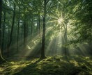 立ち止まっている方へ|ズレを整え、流れへ戻します 今の状態を感じ取り、心とエネルギーを整えます イメージ1