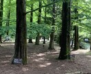子育て移住田舎暮らしを考えている方へお悩み聴きます 田舎での子育ての本音、地方移住の疑問の“リアル”を答えます イメージ3