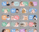 お写真でLINEスタンプお作りします シンプル・コンパクトなデザイン｜どんなお写真もご相談下さい イメージ6