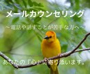 メールにて『あなたの心』に寄り添います 「寂しい」「辛い」などの気持ちを吐き出してみませんか？ イメージ1
