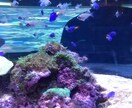 愛されたかった貴方へ。優しく包みます 誰かに愛されたかった。寂しさ、悲しみで胸が痛い時ないですか？ イメージ4