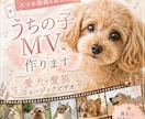愛犬・愛猫の“うちの子MV”を制作します制作します 爽やかな女性ボーカルで綴る、世界に一つのミュージックビデオ イメージ1