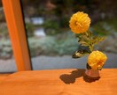モヤモヤをスッキリ!歯科のお悩み聞きます 歯科のお仕事に携わるすべての人を元気に!! イメージ4