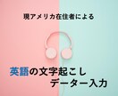 米国在住者が英語のデーター入力・文字起こします 時間が掛かる英語入力は私にお任せ下さい！ イメージ1