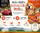 食品の紹介文と30秒の商品PR動画を制作します 楽天店舗・自社ブランド運営の経験を生かした販促制作 イメージ1