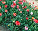恋愛、家事、育児小さな事でも悩みや愚痴聞きます ちょっと聞いてほしいと思ったあなたへ イメージ1