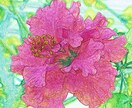 お手持ちの写真を加工して色鉛筆イラストに変換します 画像加工を施し、柔らかいタッチの楽しい色鉛筆画に仕上げます イメージ8