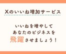 X(Twitter)いいね増やします エンゲージメントを簡単強化！いいね増加で差をつけよう！ イメージ4